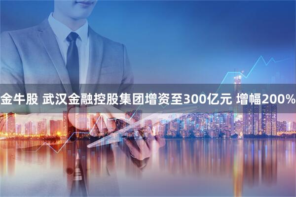 金牛股 武汉金融控股集团增资至300亿元 增幅200%