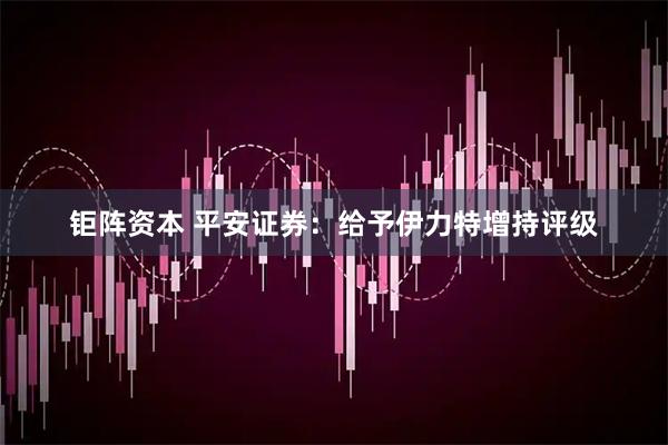 钜阵资本 平安证券：给予伊力特增持评级