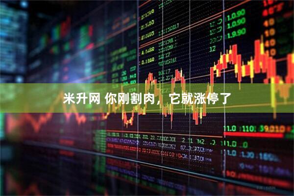 米升网 你刚割肉，它就涨停了