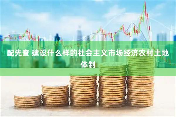 配先查 建设什么样的社会主义市场经济农村土地体制
